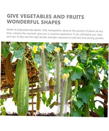 2pcs Vegetable Shaping Mold Cucumbers Vegetables Garden Fruit Mold Fruit Shaping Mold Modeling Melon - Buy Online on GoSupps.com