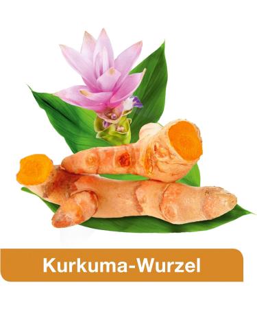 Curcumin-Loges - 120 Highly Bioavailable Capsules | Dietary Supplement with Vitamin D | International Shipping Available - Buy Online on GoSupps.com