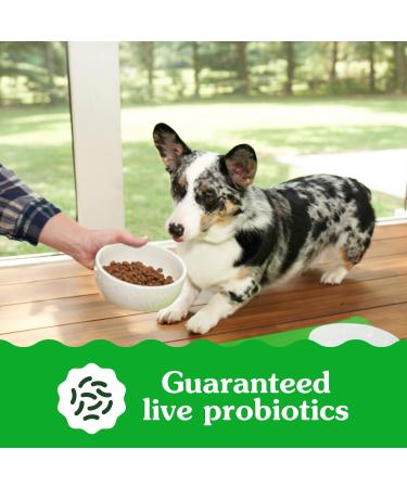 Greenies Smart Essentials Small Breed Adult Dry Dog Food Real Chicken & Rice Recipe 2.49Kg Bag - Buy Online on GoSupps.com