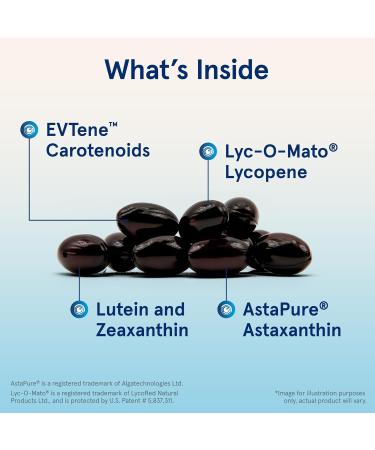 Jarrow Formulas CarotenALL Mixed Carotenoids Complex - 60 Softgels | Health & Wellness Supplement - Buy Online on GoSupps.com