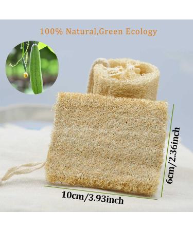 100% Natural Unbleached Loofah Sponge | Exfoliating Bath Scrubber for Adults | Ideal for Showers & Cleaning | Pack of 6 - Buy Online on GoSupps.com