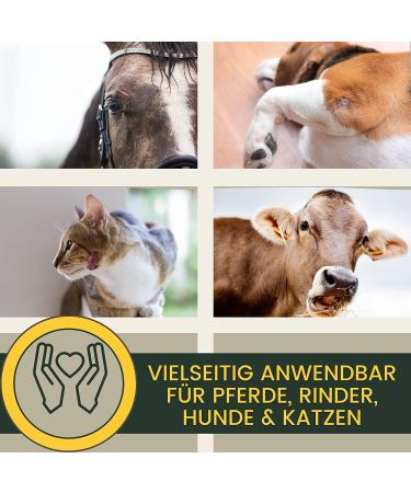 Zinc Ointment for Horses Dogs & Cats - 250ml Wound Healing Cream & Eczema Relief - Buy Online on GoSupps.com