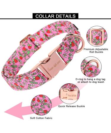 Unique Style Paws Summer Rosa Strawberry Dog Collar - Wide Fly Chain for Small to XL Dogs - Perfect Gift for Pet Lovers - Buy Online on GoSupps.com