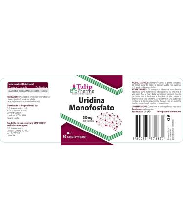 Uridine Monophosphate 250mg - 60 Capsules | Nootropic Supplement | Laboratory Tested for Quality - Buy Online on GoSupps.com