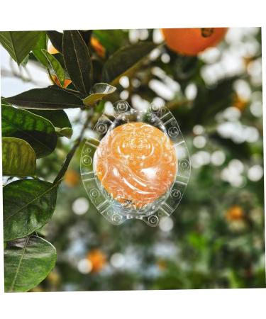 GANAZONO Shaped Growth Mold Fruit Vegetable Growing Mold Small Shaper Molds Shaping to Play with Maitreya - Buy Online on GoSupps.com
