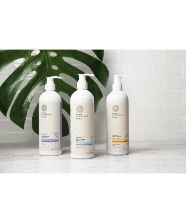 Shea Radiance African Black Soap Body Wash for Dry Skin, Eczema, Rashes, and Blemishes - Unscented (16 oz) - Buy Online on GoSupps.com