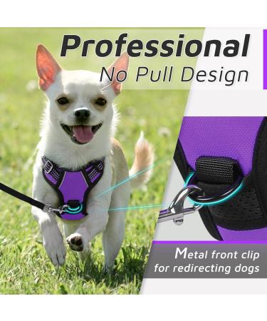Eagloo Small Dog Harness - Adjustable Anti-Train Harness with Reflex Strips for Walking & Jogging - Durable Purple XS (1 Pack) - Buy Online on GoSupps.com