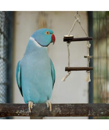 10-Piece Natural Bird Accessories for Budgies Canaries & Lovebirds - Gionar Climbing Grinding & Standing Cage Toys - Buy Online on GoSupps.com
