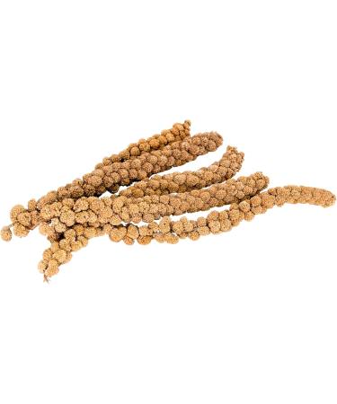 Living World 82477 Spray Millet for Birds 500gm 17.5-Ounce 500 g (Pack of 1) - Buy Online on GoSupps.com