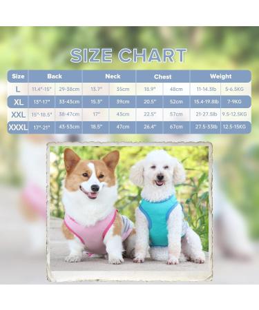 Dog Cooling Vest | Breathable Mesh Dog Jacket for Summer | Cool & Comfortable XL Blue Dog Coat - Buy Online on GoSupps.com