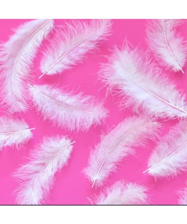 White Feather Craft Supplies - 100pcs Dreamcatcher Fringe Trim Colored Feathers - Buy Online on GoSupps.com