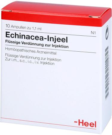 Buy Echinacea Injeel Ampoules - 10 Hours | Boost Immunity & Wellness | International Shipping - Buy Online on GoSupps.com