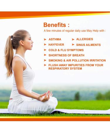 Buy Himalayan Pink Salt Ceramic Inhaler | Natural Rose Facial Tissue - 1.9 Lbs for Healthy Breathing - Buy Online on GoSupps.com