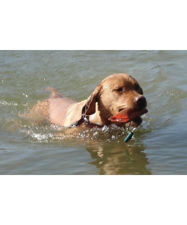 Romneys Standard Dummy 500g Green - Floatable & Unsinkable Dog Training Fetch Toy | International Shipping Available - Buy Online on GoSupps.com