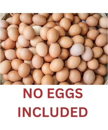 Egg Replacer Gluten Free Milk Free and GMO Free Bundle Containing Two 200g Packs of Orgran Egg Replacer for Meringue Pancakes Desserts Cakes - Buy Online on GoSupps.com