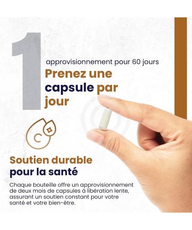 VITAMINE C LIPOSOMALE 500mg - Dose puissante Vitamine C I Encapsul e pour une biodisponibilit maximale I 100% non-OGM et v g talienne I Compl ment alimentaire - 60 Capsules Vegan - Buy Online on GoSupps.com