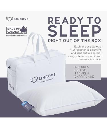 Lincove Canadian Down Toddler Pillow - 800 Fill Power - 100% Cotton Shell - 400 Thread Count - 13x18 - Perfect for Kids Travel, Nap Time, Toddler Cot, Crib, Bed - Buy Online on GoSupps.com