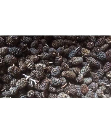 alder cones - alder cones 500 pieces ( 200 grams) healthy water fish and shrimp - Free Shipping