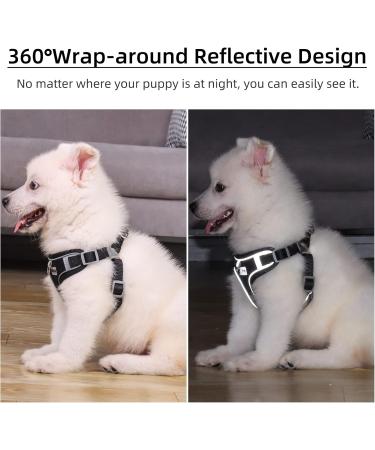 Rennaio No Pull Dog Harness & Leash Set - Adjustable Ultra Breathable Padded Puppy Dishes for Small & Medium Dogs - Black M - Buy Online on GoSupps.com