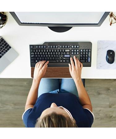 Computer Palm Rest Walnut NonSlip Soft Feel Environmentally Friendly Washing Oil 6 Inclined Walnut Palm Rest for 61 108 Keys Approx 36cm - Buy Online on GoSupps.com