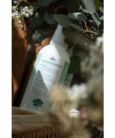 Tebodont Mouthwash 500ml - Refreshing Oral Care for Healthy Teeth & Gums | Shop Internationally - Buy Online on GoSupps.com