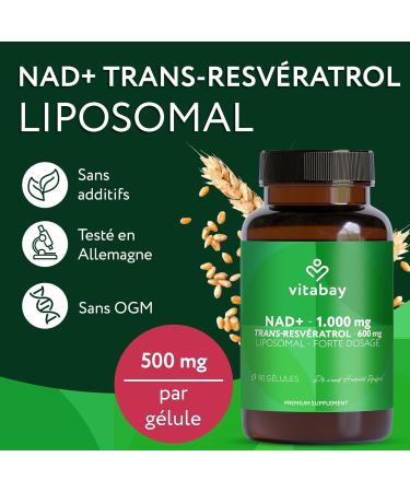 Vitabay NAD+ Liposomal 1000mg & Trans-Resveratrol 600mg - 90 Softgels V g talien - Haute Dose Test en Laboratoire - Suppl ment NAD Liposomal Biodisponibilit Optimis e - Buy Online on GoSupps.com