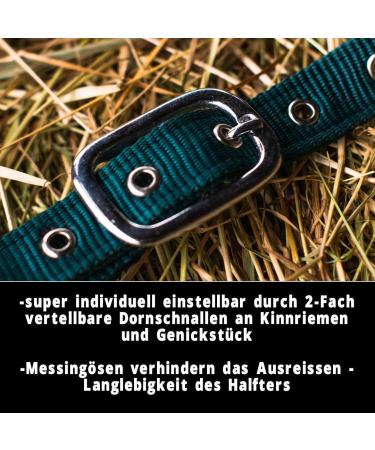 Shop Durable Green Horse Delinis Halter for Warmbloods Thoroughbreds & Ponies - Adjustable Tearproof & Safe - Ideal for Pasture & Stable Use - Buy Online on GoSupps.com