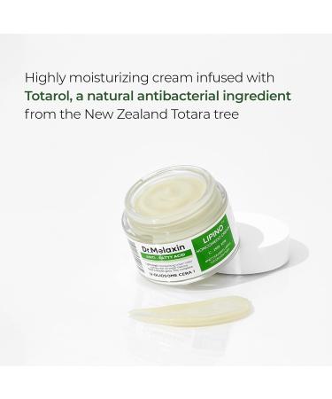 Lipino Anti-Fatty Acid Noncomedo Cream - Daily Moisturizer for Oily Skin with Ceramide | Smooths Texture & Non-Comedogenic | 1.69fl.oz - Buy Online on GoSupps.com
