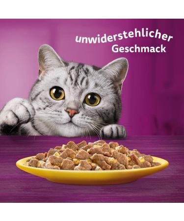 Whiskas 1+ Cat Food Chicken in Jelly 28x85g - High-Quality Wet Feed for Adult Cats - 2.38 kg Pack - Buy Online - Buy Online on GoSupps.com
