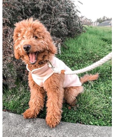 Gooby Fleece Vest Dog Sweater - Lime Large | Warm Pullover Jacket for Small Dogs | O-Ring Leash | Winter Coat for Cold Weather | Boy/Girl - Buy Online on GoSupps.com