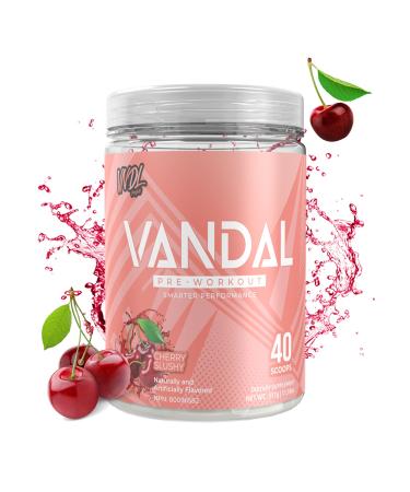 VNDL Pre Workout Powder for Men & Women- Enjoy a Clean Energy Boost with No Sugar Featuring L-Citrulline & L-Tyrosine for Improved Endurance- Nootropic Formula in Cherry Slushy Flavor - 40 Servings