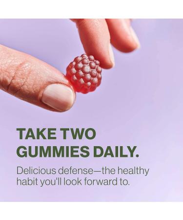 Hilma Elderberry Gummies with Zinc & Vitamin C - Natural Vegan Immune Support - Antioxidant-Rich Formula - 60 Gummies - Buy Online on GoSupps.com