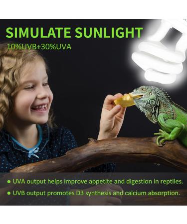 Caldarax 10.0 UVA UVB Bulb - 13W Compact Light for Desert Reptiles | E27 Tortoise Reptile Light for Lizard, Turtle, Snake, Chameleon, Bearded Dragon - Buy Online on GoSupps.com