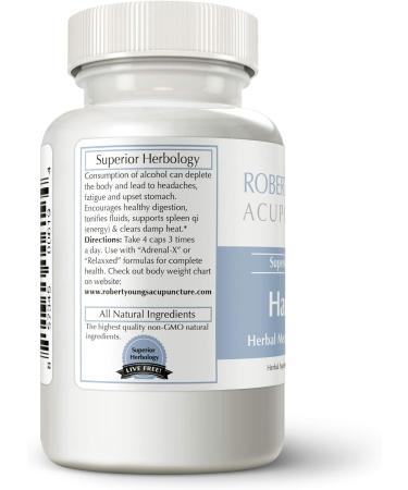 Hang-X Electrolyte Recovery Pills - 100 Capsules for Rapid Hydration & Fast Symptom Relief | All-Natural Herbal Aid - Buy Online on GoSupps.com