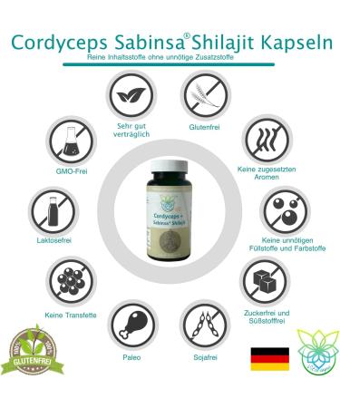 VITARAGNA CORDYCEPS & Shilajit Premium Adaptogenic Complex Balance Your HPA Axis 60 Capsules | International Shipping Available - Buy Online on GoSupps.com