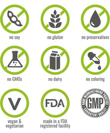 NATURELO Vegan Plant Protein Powder - Vanilla and Chocolate Bundle - 40 Servings - Buy Online on GoSupps.com