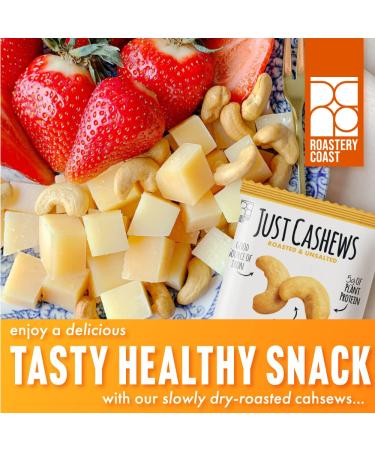 Roastery Coast Just Cashews - Unsalted Whole Cashew Nuts (1 Oz each) | Non-GMO, Gluten Free, Kosher Gourmet Snack - Buy Online on GoSupps.com