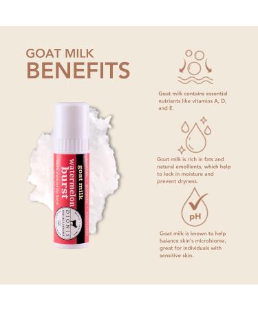 Dionis Goat Milk Skincare Watermelon Holiday Lip Balm Gift Set - Beeswax Shea Butter & Coconut Oil Lip Care Products Made in The USA - Cruelty Free Lip Moisturizer for Chapped Lips 0.28oz 3 Pack - Buy Online on GoSupps.com