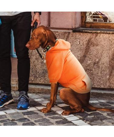 Shop Autumn Warm Hooded Sweater for Puppies | Stylish Pet Jackets for French Bulldogs | XXL C-Orange Winter Dog Clothing - Buy Online on GoSupps.com