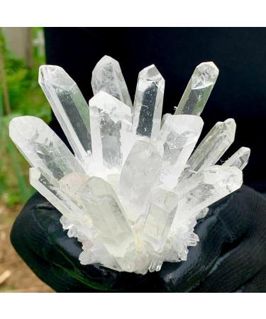 1pc White Transparent Quartz Crystal Cluster Specimen Suitable for Home Crystal Cluster (Size : 600g) - Buy Online on GoSupps.com