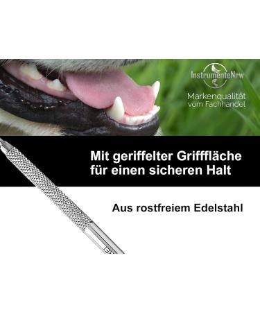 Effective Dog Tartar Remover - Stainless Steel Dental Care Tool for Pets | Pointed & Round Tooth Cleaner - Buy Online on GoSupps.com