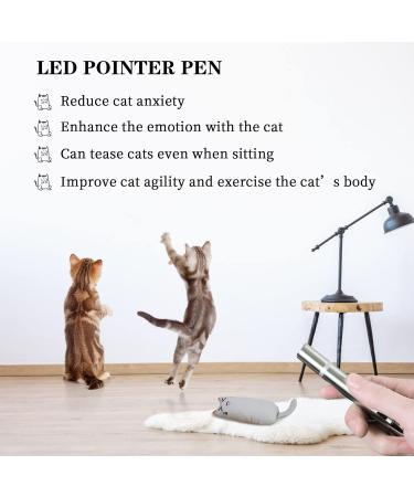 MOSNOW Cat Chase Toys 1 Pack 2 in 1 LED Pointer Cat Toys&1 Pack Cat Catnip Toys Funny Cat Toys Pet Interactive Toys for Pet Indoor Exercise Training Tool - Buy Online on GoSupps.com
