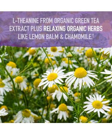 Garden of Life mykind Organics Sleep Well 30 Tablets - Lemon Balm, Green Tea Extract, Valerian Root - Organic, Non-GMO, Vegan, Gluten-Free - Buy Online on GoSupps.com