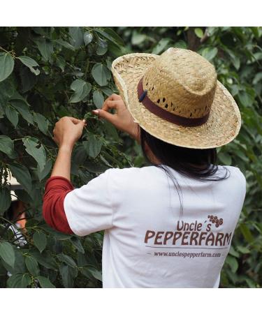  Uncle s Pepperfarm Uncle's Pepperfarm Kampot Red Pepper - Sun-dried red peppercorns - 200g - Buy Online on GoSupps.com