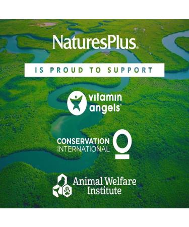 Nature's Plus Source of Life Garden Iron - 30 Vegan Capsules for Enhanced Energy - Buy Online on GoSupps.com