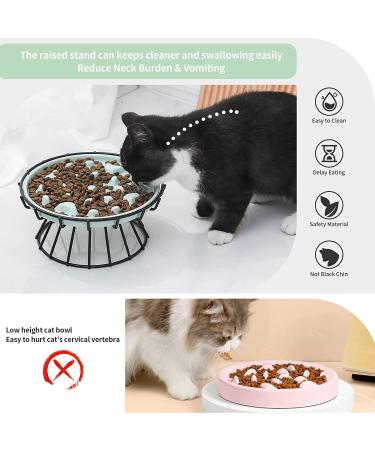 Elevated Slow Feeder Cat Bowl with Water Bowl - Interactive Ceramic Pet Dish for Slowing Eating Speed, Preventing Bloat, Indigestion, and Vomiting - Green - Buy Online on GoSupps.com
