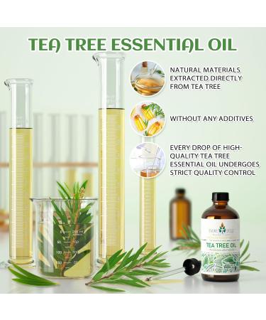 EVOKE OCCU Tea Tree Essential Oil and Lime Essential Oil - 4 Fl Oz - Buy Online on GoSupps.com