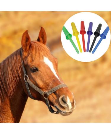HIXNUG 3 Pieces Plastic Hoof Oil Brush Brights Horse Hoof Oil Brush with Cap Hoof Dressing Brush Horse Care Brush Random Color - Buy Online on GoSupps.com