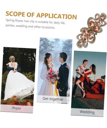 FRCOLOR Rhinestone Hair Clip Metal Hair Clips for Women Hair Clips for Thick Hair Barrettes for Women Barrettes for Thick Hair Spring Hair Clips Rhinestones Accessories The Flowers Bride - Buy Online on GoSupps.com