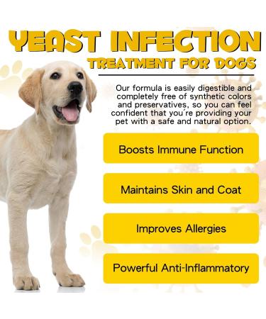 Natural Yeast Infection Drops for Dogs - Itch, Ear Infection, Allergy Relief - Herbal Bacon Flavor - 2 Fl Oz - Buy Online on GoSupps.com